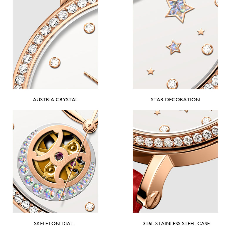 LOBINNI Luxury Women Watches,L - Skeleton Mechanical Watch 评论和价格