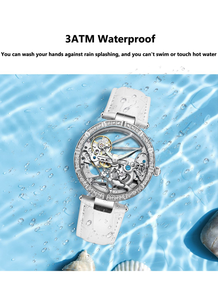 Luxury Skeleton Silver Dial Fa - Skeleton Mechanical Watch 评论和价格